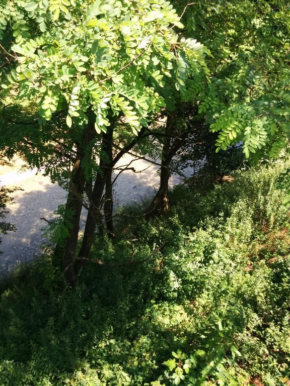 Casetta Next To The Creek Dino Buzzati Μπελούνο Δωμάτιο φωτογραφία